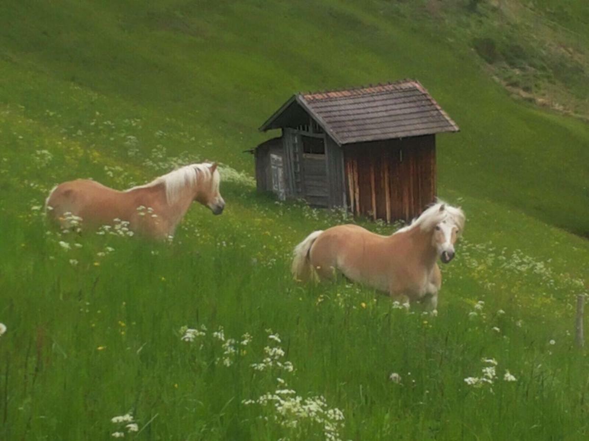 Apart.Pitztal Arzl im Pitztal Esterno foto