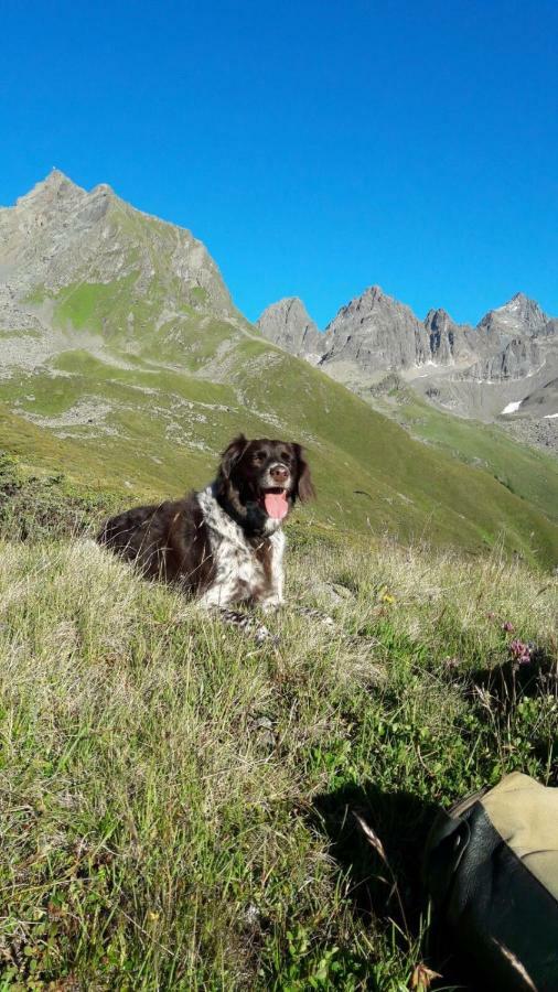 Apart.Pitztal Arzl im Pitztal Esterno foto